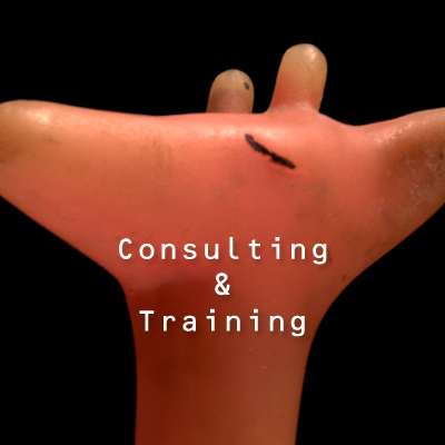 marketing consulting and training